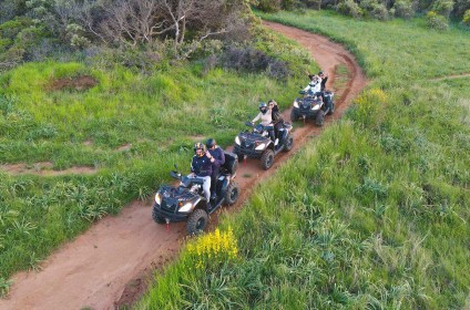 Dalmatia quad
